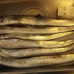 ワインドタチウオちょっと浮き釣り